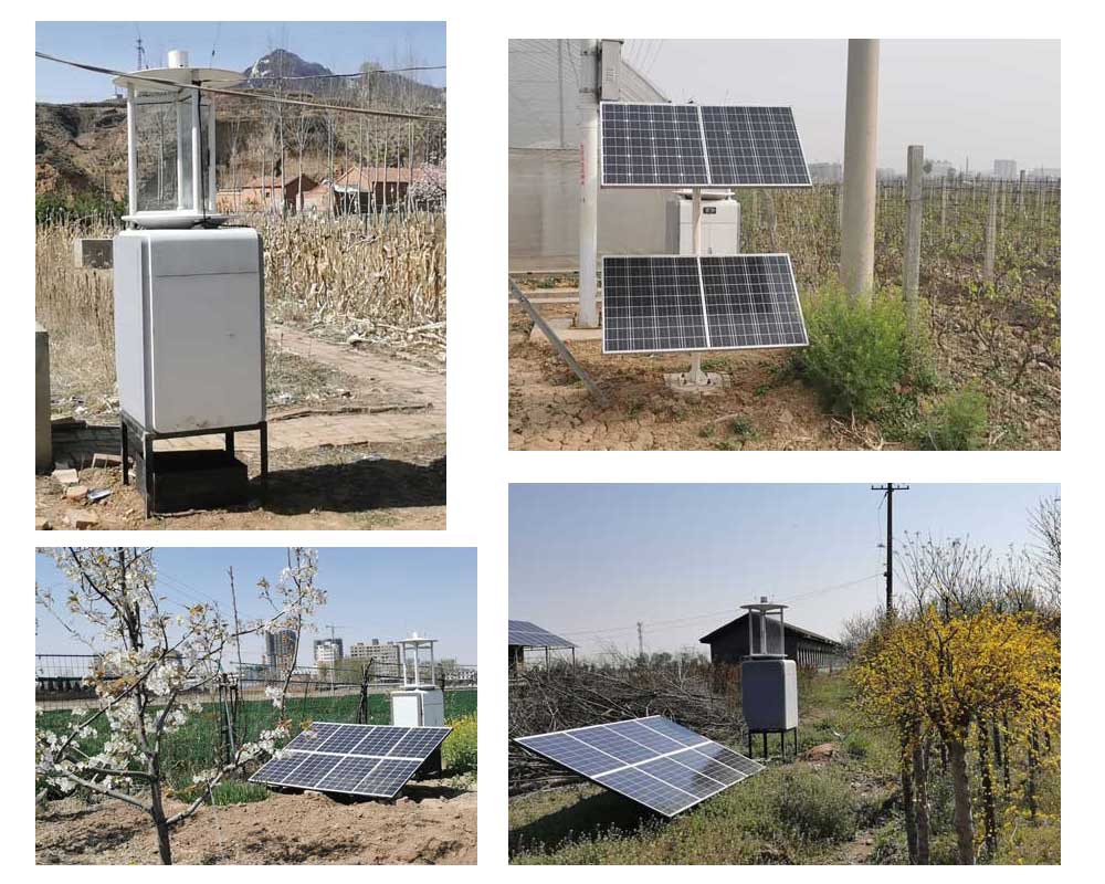 �ۺ����(w��)