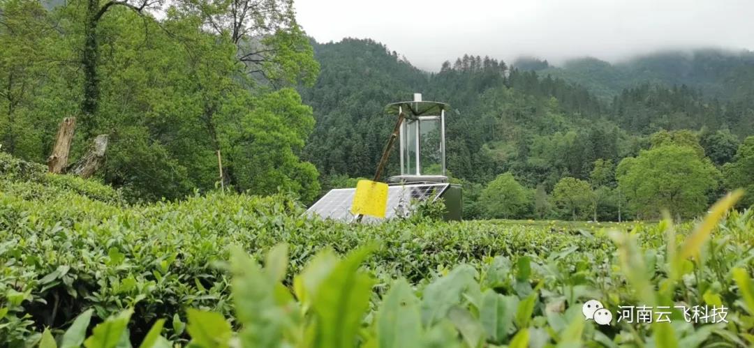 休寧縣利用云飛太陽能測報(bào)燈打造秀美皖南