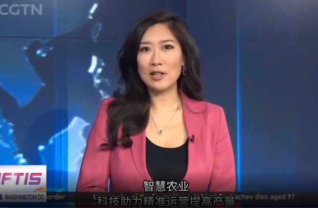 ЇHCGTN ҕЇ롷(ji)Ŀ^ꖸߘ˜r(nng)ʾ^(q)