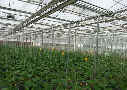 ���ܜ��Ҵ���